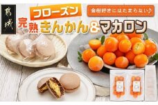 完熟きんかんのフローズンセット_AA-J701_(都城市) 氷結きんかん 完熟きんかんマカロン 急速冷凍 浅井万十店と内山金柑園のコラボ スイーツ