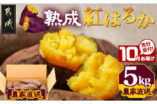 先行受付!【10月お届け】【農家直送】山下農園　熟成紅はるか 5kg_LD-I704-10_(都城市) 都城産 紅はるか 5kg 農家直送 さつまいも サイズ未選別 長期熟成