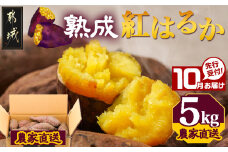 先行受付!【10月お届け】【農家直送】山下農園　熟成紅はるか 5kg_LD-I704-10_(都城市) 都城産 紅はるか 5kg 農家直送 さつまいも サイズ未選別 長期熟成