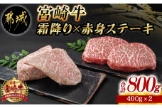 宮崎牛霜降り400g×赤身ステーキ400gセット_AE-I501_(都城市) 都城産宮崎牛 霜降りステーキ 赤身ステーキ ステーキ用 4等級以上