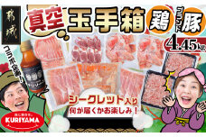 ブランドはお任せ★全部真空パック!KURIYAMAの玉手箱4.45kgセット(ソース付)_AC-1410_(都城市) 豚肉 ブランド豚 おさつポーク ゆずポーク お任せ ロース 肩ロース モモ スライス 小間切れ ミンチ 小分け 真空パック 宮崎県産若鶏 ムネ肉 特製チリソース 玉手箱 4.45kg 栗山ノーサン