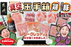 ブランドはお任せ★全部真空パック!KURIYAMAの玉手箱4.45kgセット(ソース付)_AC-1410_(都城市) 豚肉 ブランド豚 おさつポーク ゆずポーク お任せ ロース 肩ロース モモ スライス 小間切れ ミンチ 小分け 真空パック 宮崎県産若鶏 ムネ肉 特製チリソース 玉手箱 4.45kg 栗山ノーサン