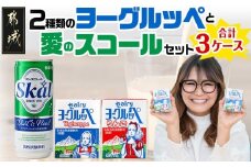 2種類のヨーグルッペと愛のスコールセット_MJ-2316_ (都城市) ヨーグルッペ ヨーグルッペりんご 200ml×18本 乳性炭酸飲料 スコール 250ml×20本