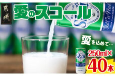 『愛』を込めて・・・愛のスコール250ml×40本(2ケース)_13-2305_(都城市) 炭酸飲料 スコール 250ml 20本 2ケース