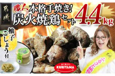 本格手焼き!炭火焼鶏4.4kg(ゆずこしょう付) 150g×6P・500g×7P_AC-1411_ (都城市) 鶏肉 小分け 炭火焼き おつまみ 宮崎 冷凍 柚子胡椒  栗山ノーサン ギャル曽根さんおすすめの鶏肉返礼品(炭火焼) 