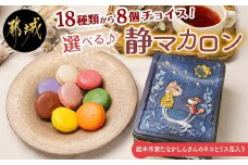 静マカロン缶～選べる8個セット～_LG-C202_(都城市)日向夏 マンゴー いちご ショコラ バイオ茶 黒ごま ラムレーズン コーヒー 塩キャラメル ショコラフランボワーズ さくら レモン 和三盆 カシスオレンジ ローズ シナモン ピスタチオ 焼き芋「絵本作家たなかしんさん」ネコとリス缶 贈答用 