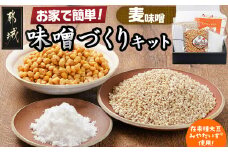 お家で簡単!味噌づくりキット【麦味噌】_AA-G802_(都城市) 味噌づくりキット 麦味噌 蒸し大豆 麦麹 塩 塩分濃度約11％