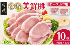 都城美鮮豚ロースカツ用10枚セット_AA-5402_(都城市)_豚 豚ロース 100g×5枚 合計10枚 とんかつ 