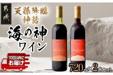 天孫降臨神話・海の神 ワイン2本セット ≪みやこんじょ特急便≫_12-2001_(都城市) 都城産ワイン ワイナリー 赤 辛口 やや甘口 11度 12度 13度 14度 720ml KUMASOTAKERU