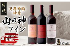 天孫降臨神話・山の神 ワイン3本セット ≪みやこんじょ特急便≫_21-2004_(都城市) 都城産ワイン ワイナリー 赤 辛口 11度 12度 13度 720ml 750ml AMENOKOYANE TAJIKARAO FUTODAMA