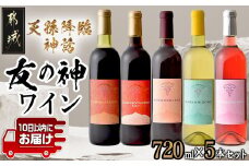 天孫降臨神話・友の神 ワイン5本セット ≪みやこんじょ特急便≫_31-2001_(都城市) 都城産ワイン ワイナリー 赤 白 ロゼ やや辛口 辛口 11度 12度 13度 14度 720ml KUMASOTAKERU ISHIKORIDOME KONOHANASAKUYA AMENOKOYANE