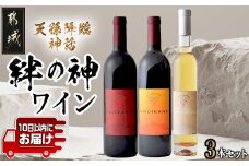 天孫降臨神話・絆の神 ワイン3本セット≪みやこんじょ特急便≫_27-2002_(都城市) 都城産ワイン ワイナリー 赤 白 極甘口 辛口 6度 7度 11度 12度 13度 375ml 750ml AMENOUZUME TAJIKARAO OMOIKANE