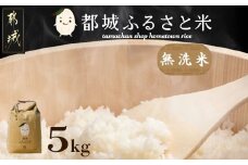 都城ふるさと米(ひのひかり)無洗米5kg_12-9005_(都城市) タマチャンショップ 都城産 ひのひかり 無洗米 5kg