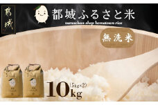 都城ふるさと米(ひのひかり)無洗米10kg_22-9001_(都城市) 都城産 ひのひかり 無洗米5㎏ 2袋