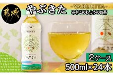 【みやこのじょうのお茶】やぶきた500ml×24本(2ケース)_AD-I501_(都城市) お茶 ペットボトル 500ml 24本 2ケース