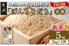 【玄米】特別栽培米ぼんちそだち5kg_14-2202_(都城市) 都城産 米 玄米 特別栽培米 ぼんちそだち 5kg
