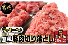 国産豚肉切り落とし5kgラッキーセット_19-3601_(都城市) 国産 豚肉 切り落とし 250g×20袋 5kg 豚肉 小分け お弁当 サラダ しゃぶしゃぶ 料理 アレンジ