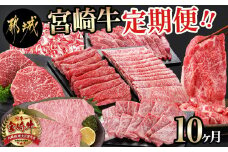 宮崎牛定期便(10ヶ月)_T120（10）-0103_(都城市) 宮崎牛 A5 10ヶ月定期便 赤身 バラ ロース スライス 焼肉用 切り落とし サーロインステーキ