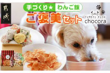 手づくり☆わんご飯「ご褒美セット」_AA-J501_(都城市) わんちゃん用 手づくり 無添加 保存料無し 安心 安全 三色肉団子 ジャーキー 