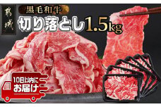 【黒毛和牛】切り落とし1.5kg(250g×6パック)≪みやこんじょ特急便≫_MJ-I903-Q_(都城市) 10日以内お届け スピード配送 牛肉 国産黒毛和牛 外モモ ウデ マル バラ モモ ブリスケ 切り落とし 250g×6 小分け ブリスケ 