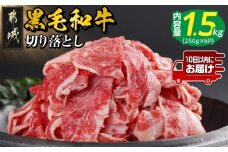 【黒毛和牛】切り落とし1.5kg(250g×6パック)≪みやこんじょ特急便≫_18-I901-Q_(都城市) 10日以内お届け スピード配送 牛肉 国産黒毛和牛 外モモ ウデ マル バラ モモ ブリスケ 切り落とし 250g×6 小分け ブリスケ 
