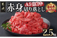 宮崎牛(A5)赤身切り落とし 2.5kg_DI-0102_(都城市)  赤身 切り落とし 宮崎牛 A5ランク