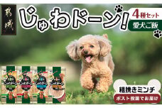 ≪愛犬ご飯≫霧島鶏じゅわドーン!粗挽きミンチ4種セット※ポスト投函_LC-3303_(都城市) 粗挽きミンチ 4種 お野菜 お肉 チキン 犬用 バラエティーパック ポスト投函