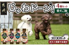 ≪愛犬ご飯≫霧島鶏じゅわドーン!ゴロゴロカット4種セット※ポスト投函_LC-3304_(都城市) ゴロゴロカット 4種 角切り 国産鶏肉 成犬 犬用 野菜 お肉 ポスト投函
