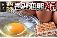 新鮮赤卵「きみ恋卵」85個_AO-2901_(都城市) 赤卵 きみ恋卵 Ｍサイズ 85個 90個 卵かけご飯 ゆで卵 お菓子作り