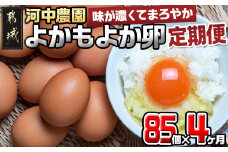 よかもよか卵85個の定期便(4ヶ月)_T60-4-2901_(都城市) 卵 定期便 Mサイズ こだわりの卵