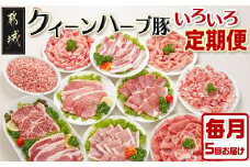 「クイーンハーブ豚」のいろいろ定期便(5ヶ月)_TAA5-2901_(都城市) ブランドポーク しゃぶしゃぶスライス ミンチ バラ焼肉 肩ロース焼肉 とんかつ 生姜焼き 肉巻き ミルフィーユカツ 定期便