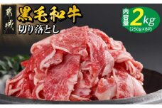 【黒毛和牛】切り落とし2kg(250g×8パック)_23-I901_(都城市) 国産黒毛和牛 切り落とし 外モモ・ウデ・マル・バラ・モモ・ブリスケ MIX 250g×8パック 小分けパック ブリスケ 