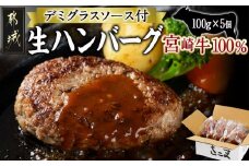 宮崎牛100％使用の生ハンバーグ≪100g×5個≫_AO-7702_(都城市) 都城産 宮崎牛 生ハンバーグ デミグラスソース 焼肉のさこまオリジナル 手作り生ハンバーグ 子供 ご年配の方まで♪
