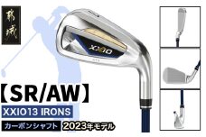 ゼクシオ 13 アイアン カーボンシャフト【SR/AW】 ≪2023年モデル≫_DA-C705-AWSR_(都城市) ゴルフクラブ ダンロップ ゼクシオ アイアン 2023年モデル
