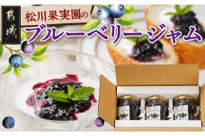 松川果実園のブルーベリージャムセット_AA-J708_(都城市) ブルーベリー ジャム 無農薬栽培 果樹農家 松川果実園 3個
