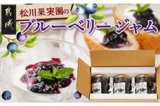 松川果実園のブルーベリージャムセット_AA-J708_(都城市) ブルーベリー ジャム 無農薬栽培 果樹農家 松川果実園 3個