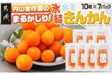 内山金柑園のまるかじり氷結きんかん7パック_AO-J703_(都城市) 内山金柑園 完熟きんかん 氷結きんかん 急速冷凍 糖度16％以上 シャーベット 10粒