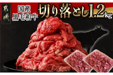 【国産黒毛和牛】切り落とし1.2kg 600g×2P_MJ-E907_(都城市) 黒毛和牛 切り落とし 肉じゃが 牛丼 ハヤシライス ビーフシチュー 使いやすい アレンジ