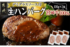 宮崎牛100％使用の生ハンバーグ≪100g×3個≫_AA-7702_(都城市) 都城産宮崎牛 オリジナル手作り生ハンバーグ 手作業 自慢 お店の味 デミグラスソース 