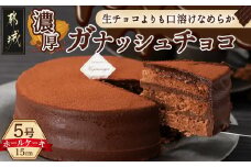 風味豊かなガナッシュチョコ15cm_LE-7601_(都城市) チョコレートケーキ 5号 5～6人分 ココアスポンジ ガナッシュチョコクリーム ビター チョコ好き なめらか ご褒美 スイーツ