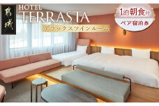 【HOTEL TERRASTA】デラックスツインルーム≪1泊朝食付 宿泊券2名様分≫_84-K501_(都城市) ホテル テラスタ デラックスツインルーム 1泊朝食付 2名様分