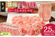 都城美鮮豚ロースしゃぶしゃぶ2.5kg(250g×10パック)_AC-5405_(都城市) 豚肉 ミルフィーユ鍋 しゃぶしゃぶ 炒め物 丼物 アレンジ豊富 パック詰め 