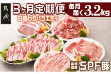 ≪3回連続お届け≫「宮崎SPF豚」日替わりバラエティセット定期便_T48-3-K901_(都城市) 宮崎県産豚 小間切れ ロース 肩ローススライス バラ ステーキ 焼肉 しゃぶしゃぶ 真空