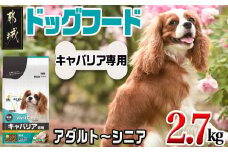 ドッグフード(キャバリア専用)アダルト～シニア2.7kg_LF-3316_(都城市) 国産総合栄養食 ドライフード 中粒タイプ 健康維持 犬種別 犬用フード キャバリア専用