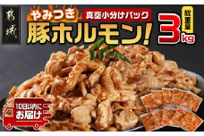 やみつき豚ホルモン!3kg!真空小分けパック!≪みやこんじょ特急便≫_LG8-3303-Q_(都城市) 国産豚 ホルモン 味付き 300g×10P 3kg 小分け 真空パック 豚肉
