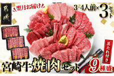 【数量限定】宮崎牛9種盛り焼肉セット(各600g×3P)_MM-3101_(都城市) 宮崎牛 ラムシン マルシン イチボ サーロイン ザブトン 肩ロース ショートリブ カルビ 内モモ ギフト 贈答用 牛肉 タレ付き 肉 国産