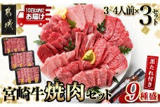 【数量限定】宮崎牛9種盛り焼肉セット(各600g×3P)≪みやこんじょ特急便≫_MM-3101-Q_(都城市) 宮崎牛 ラムシン マルシン イチボ サーロイン ザブトン 肩ロース ショートリブ カルビ 内モモ ギフト 贈答用 牛肉 タレ付き 肉 国産