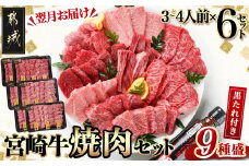【数量限定】宮崎牛9種盛り焼肉セット(各600g×6P)_MC-3101_(都城市) 宮崎牛 ラムシン マルシン イチボ サーロイン ザブトン 肩ロース ショートリブ カルビ 内モモ ギフト 贈答用
