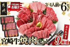 【数量限定】宮崎牛9種盛り焼肉セット(各600g×6P)≪みやこんじょ特急便≫_MC-3101-Q_(都城市) 宮崎牛 ラムシン マルシン イチボ サーロイン ザブトン 肩ロース ショートリブ カルビ 内モモ ギフト 贈答用 牛肉 タレ付き 肉 国産