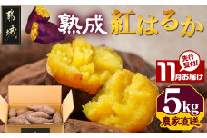 先行受付!【11月お届け】【農家直送】山下農園　熟成紅はるか 5kg_LD-I704-11_(都城市) 都城産 紅はるか S～2Lサイズ混合 山下農園 さつまいも兄弟 長期熟成 甘い 